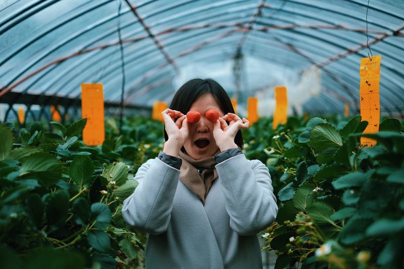 Woman covering eyes with strawberries in greenhouse