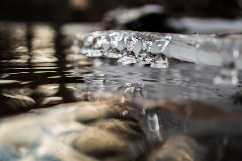 Close-up of water splashing on ice