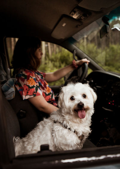 Woman with dog sitting in car