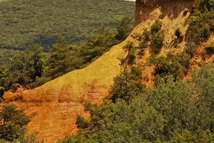 High angle view of trees on landscape