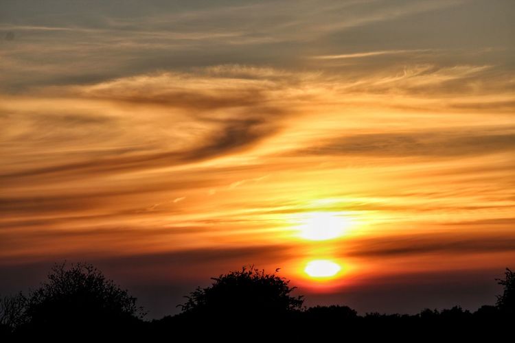 Low angle view of silhouette trees against romantic sky
