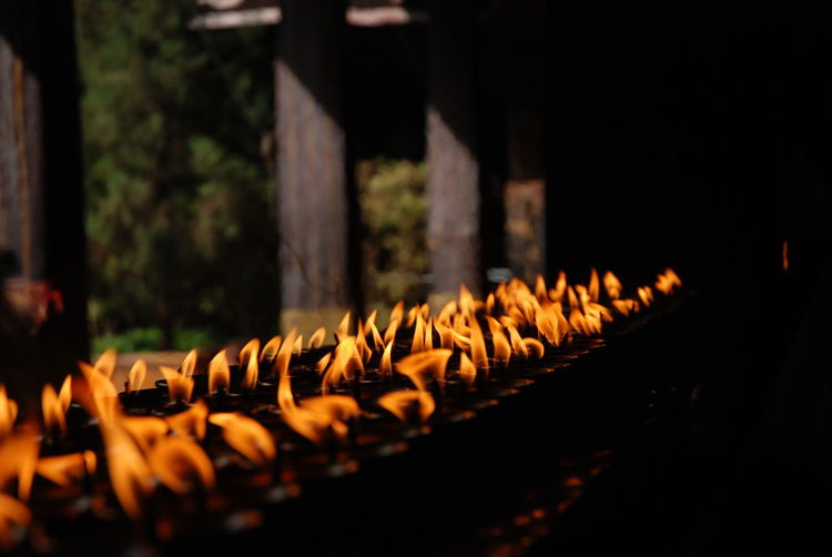 Close-up of lit candles at buddhist temple