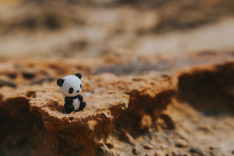 High angle view of toy panda on sand at desert