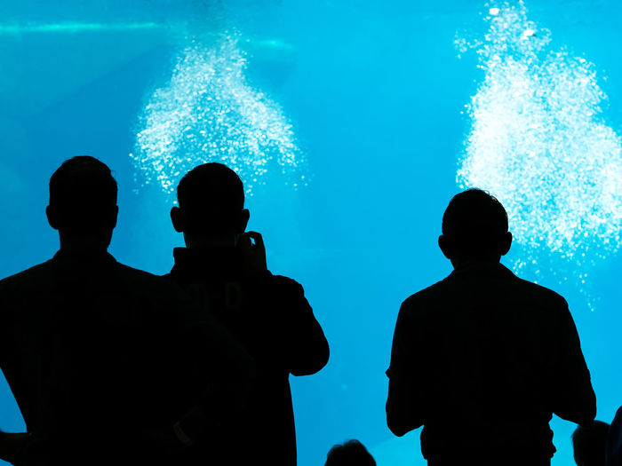 Silhouette people standing in aquarium