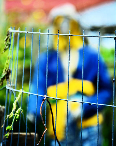 Close-up of yellow wire fence