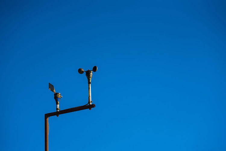Low angle view of bird perching on pole against clear blue sky
