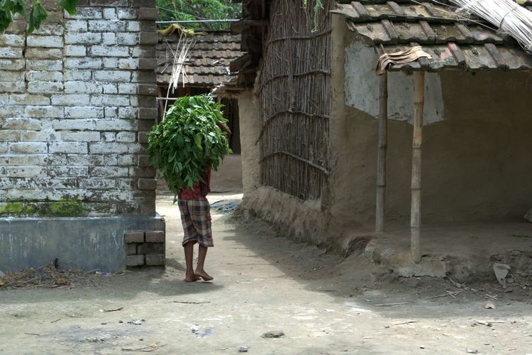 Boy walking along built structures with agriculture products on head