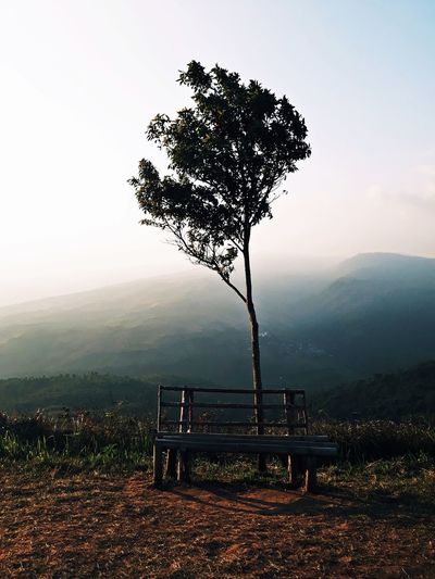 Tree on bench by mountain against sky