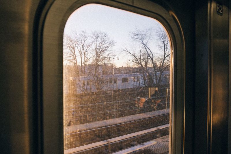 Trees seen through window