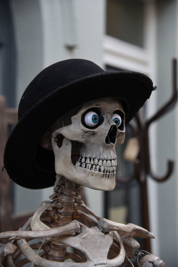 Close-up of hat on skeleton