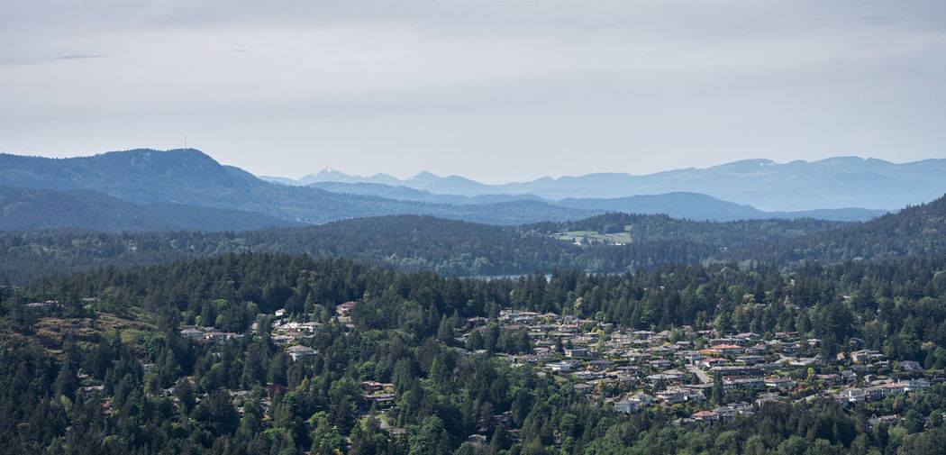 Vista with hazy mountains in background, shot on vancouver island, british columbia, canada
