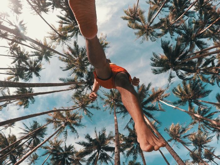 Directly below shot of man jumping against palm trees