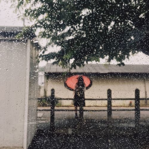 Man with umbrella seen through wet window during rainy season