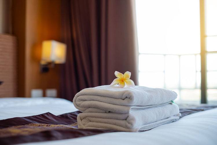 Close-up of white flower on bed by window