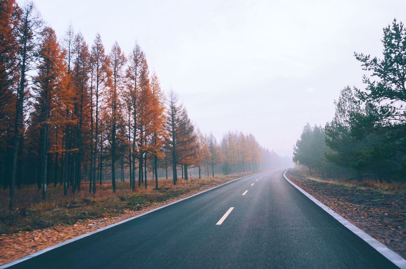 Empty road in autumn