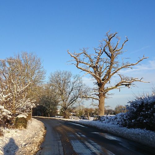 Road amidst bare trees against clear blue sky during winter