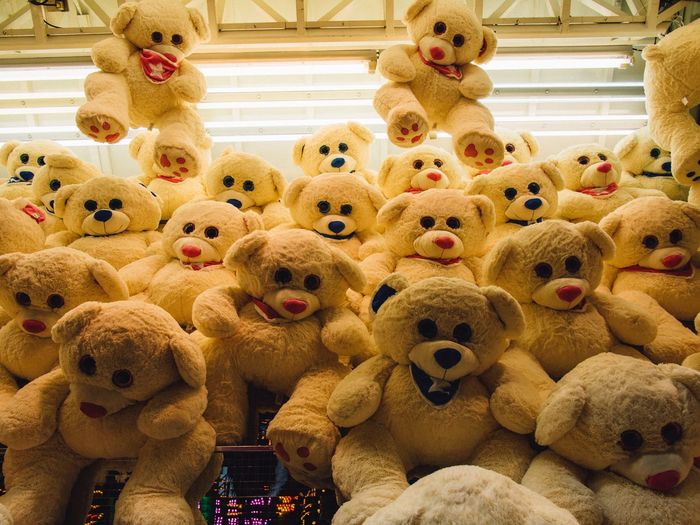 Teddy bears for sale at store