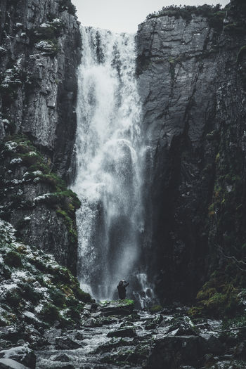 Rear view of person standing by waterfall in forest