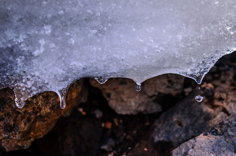 Close-up of raindrops on ice