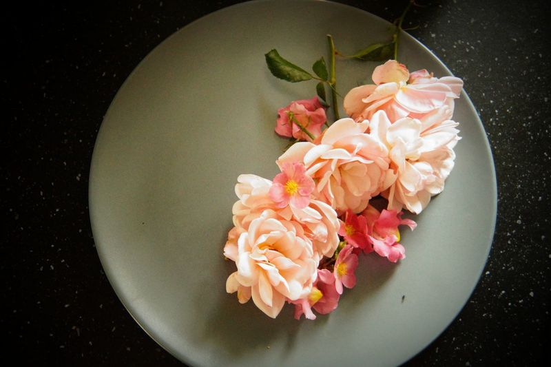 High angle view of roses in plate on table