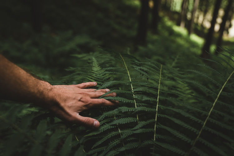 Cropped image of man gesturing by plants in forest