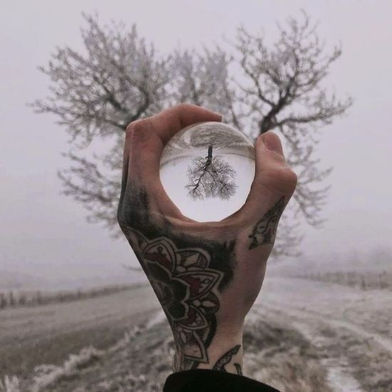   hand in snow