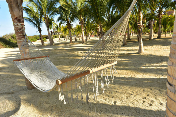 Hammock hanging at beach