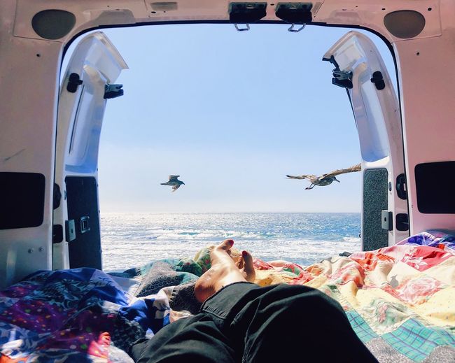 Low section of seagull flying over sea against sky