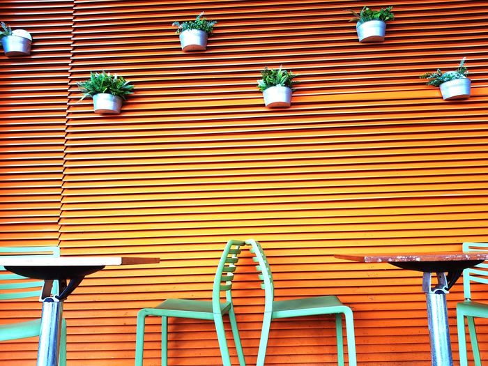 The orange and green cafe