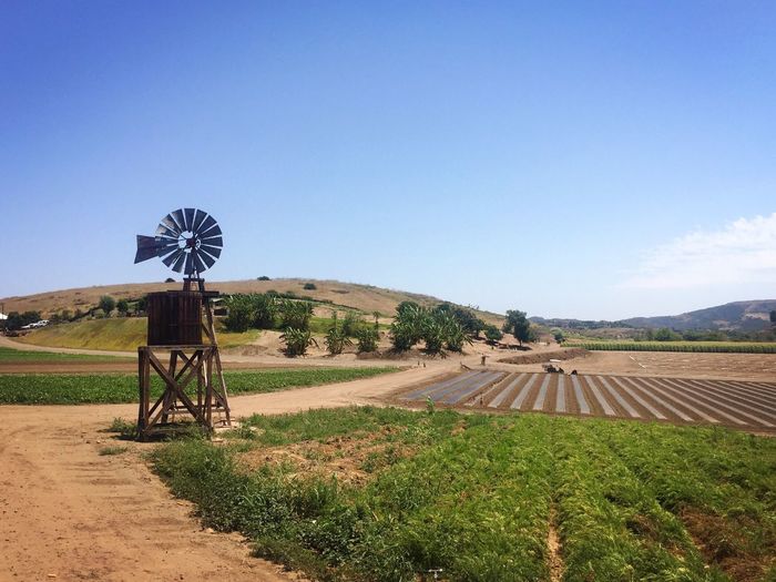 Traditional windmill on field against clear blue sky