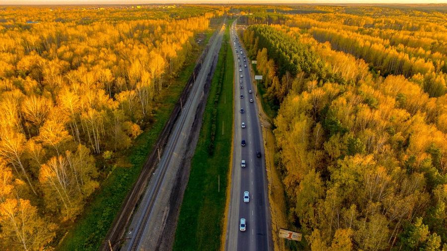 Panoramic shot of road amidst trees during autumn