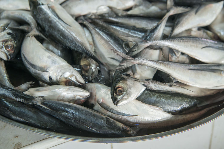 High angle view of fish for sale in market