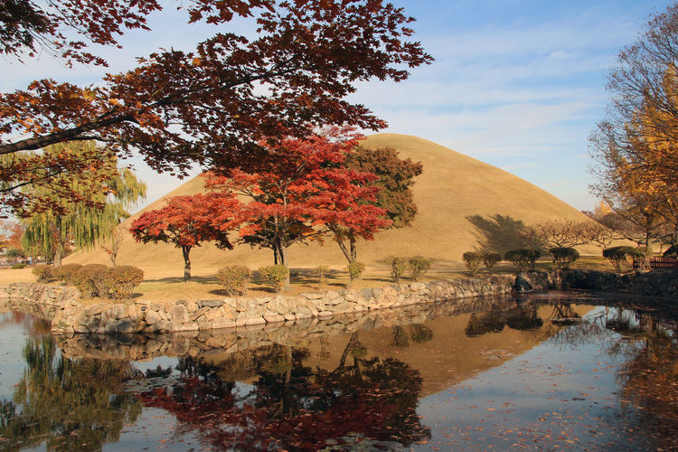 Autumn view of daereungwon royal tomb park with the blue sky in gyeongju, soutn korea