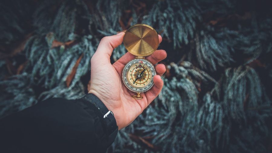 Cropped hand holding compass against tree