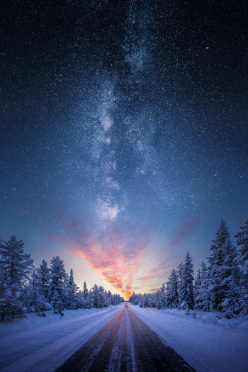 Empty road amidst trees during winter