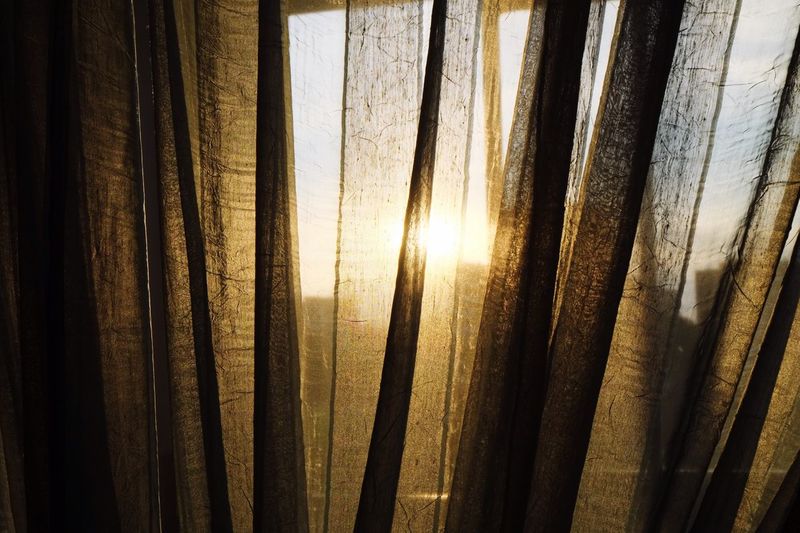 Sunlight streaming through curtain