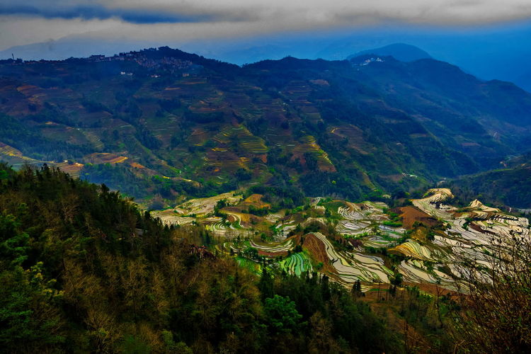 Scenic view of terraced field