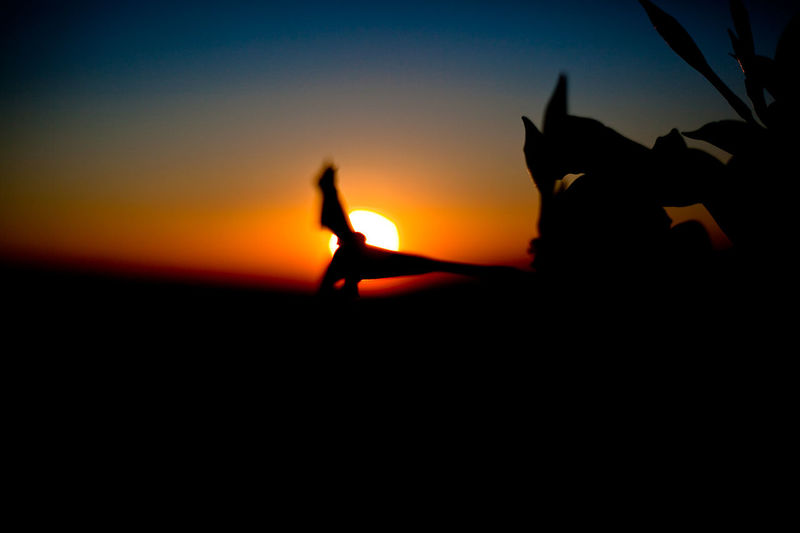 Close-up of silhouette hand against sunset sky