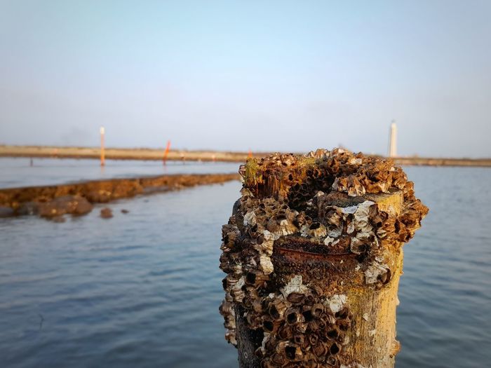 Close-up of rusty wooden post on beach against sky