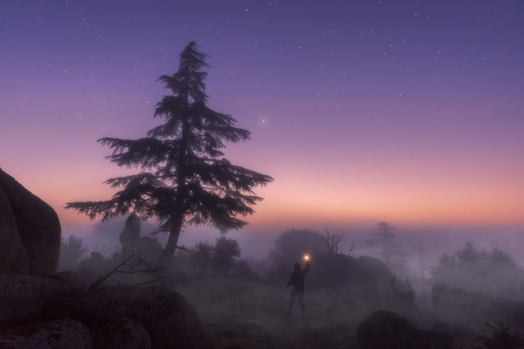 Unrecognizable explorer standing with glowing flashlight in foggy woods under dark sunset sky