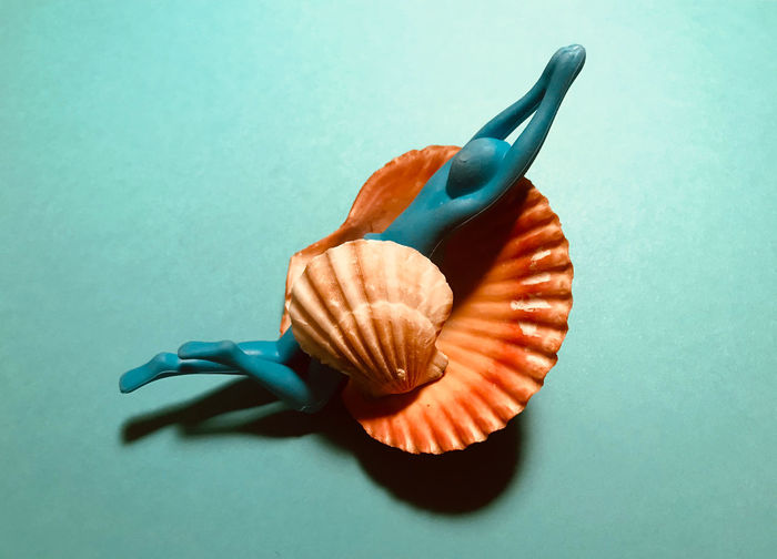 Close-up of shells with figurine on blue background