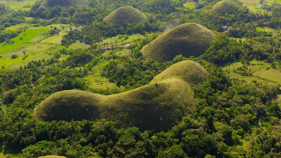 Chocolate hills, a famous tourist destination on the island of bohol, philippines.