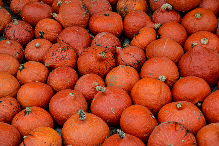 Full frame shot of pumpkins for sale at market stall