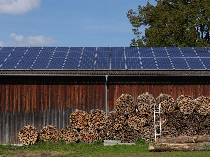 Bundles of firewood outside barn