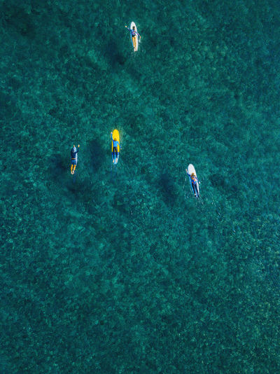 Aerial view of surfers swimming in turquoise waters of arabian sea