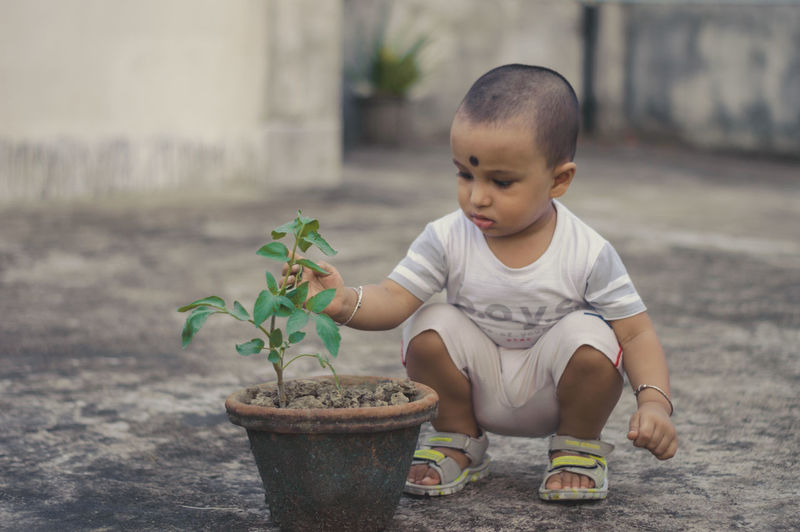 Portrait of cute baby boy holding potted plant