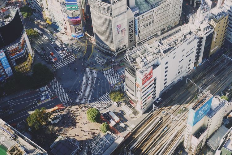 High angle view of shibuya street amidst buildings in city