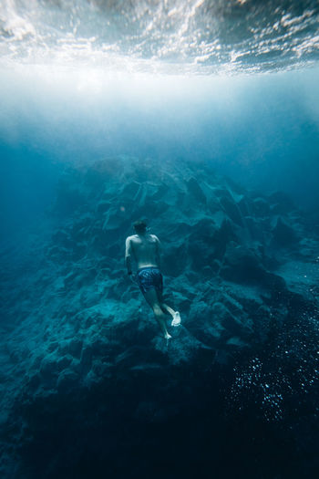 Rear view full length of man swimming in sea