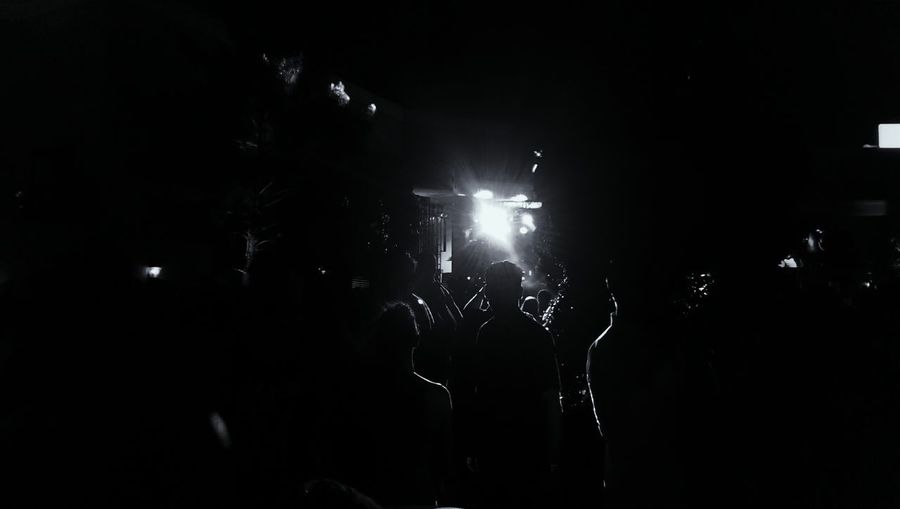 Group of people at concert