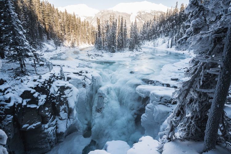 Scenic view of a frozen waterfall in forest